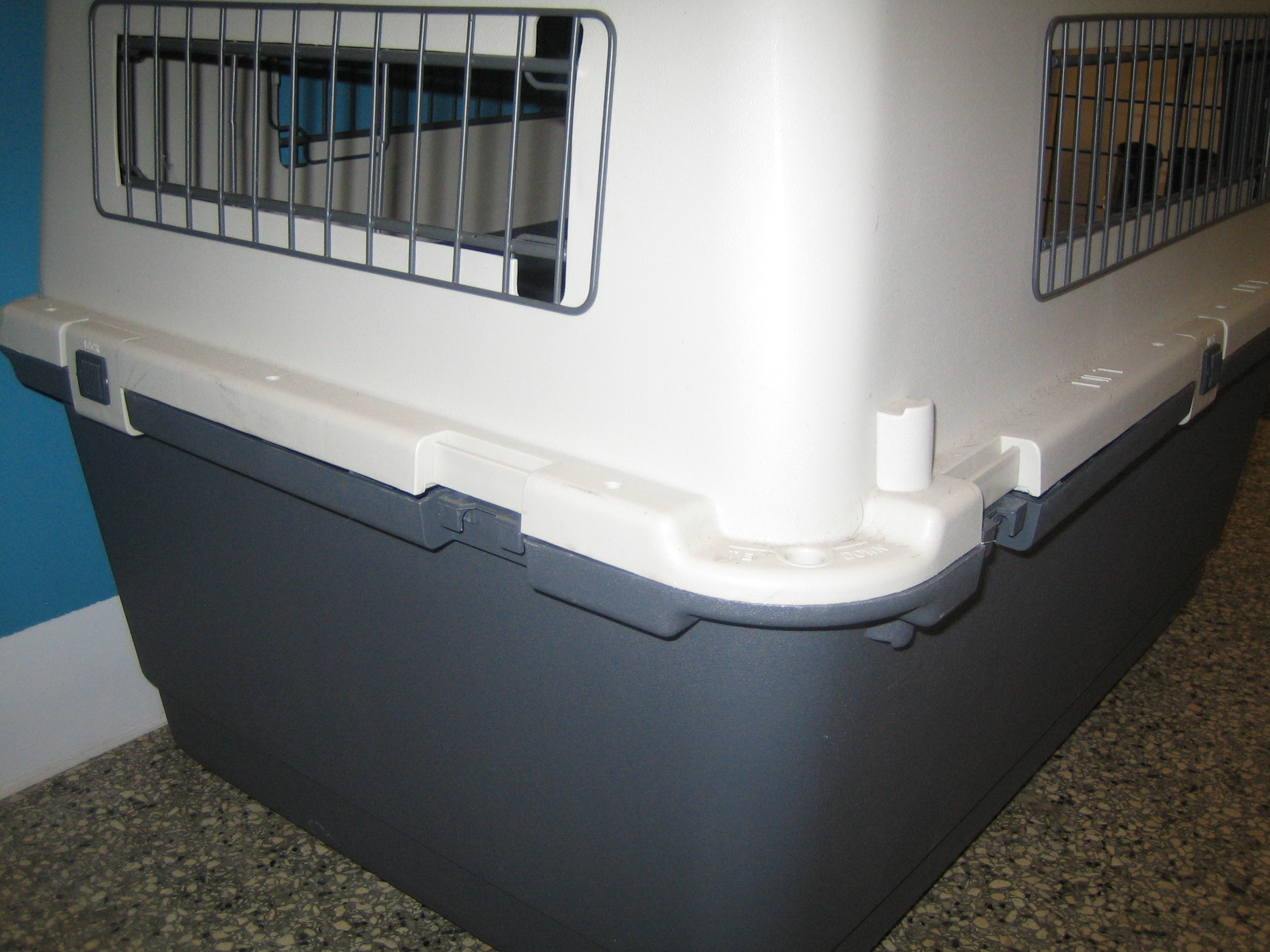 Bild 2 Transportbox für Hunde